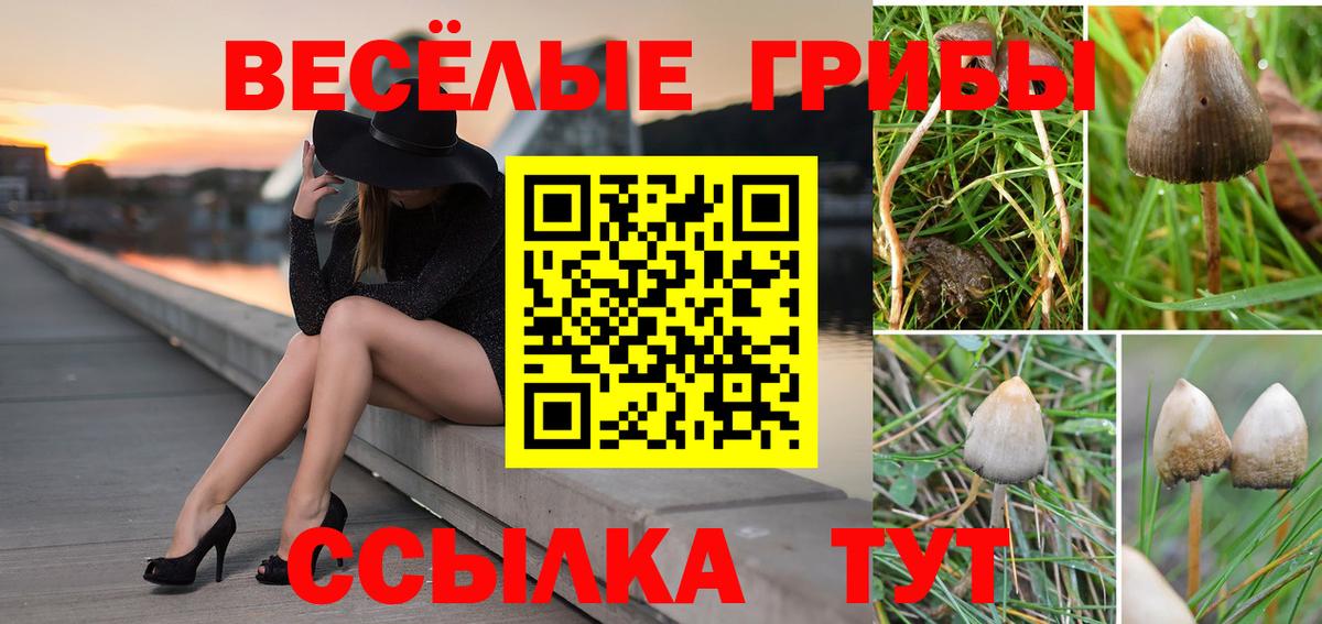 Псилоцибиновые грибы мухоморы Благовещенск