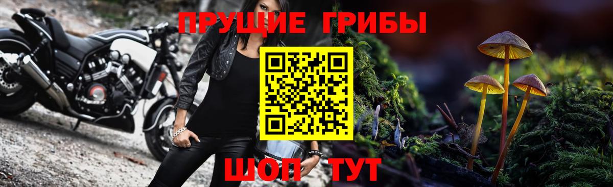 Благовещенск  купить   Галлюциногенные грибы Cubensis  Вход с VPN  Галлюциногенные грибы Psilocybe 